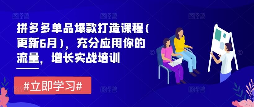 拼多多单品爆款打造课程(更新6月)，充分应用你的流量，增长实战培训-灼光资源宝库