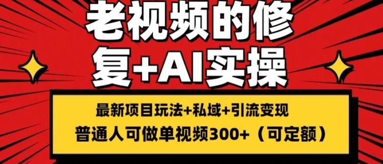 修复老视频的玩法，搬砖+引流的变现(可持久)，单条收益300+【揭秘】-灼光资源宝库