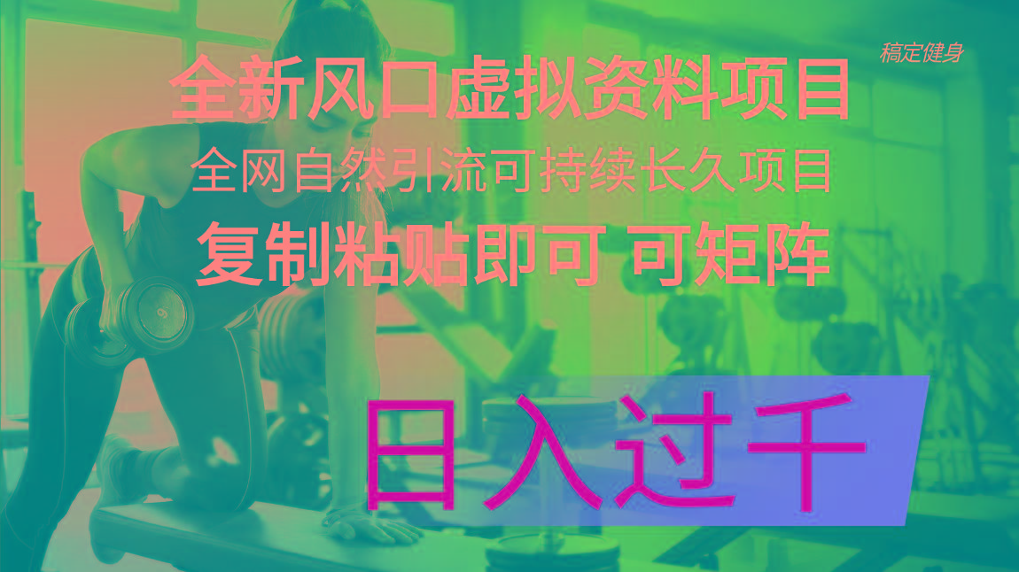 全新风口虚拟资料项目 全网自然引流可持续长久项目 复制粘贴即可可矩阵…-灼光资源宝库
