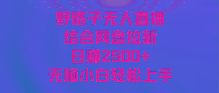 无人直播野路子结合网盘拉新，日赚2500+多平台变现，小白无脑轻松上手操作-灼光资源宝库