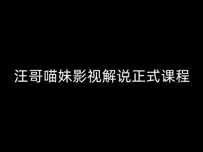 汪哥影视解说正式课程：剪映/PR教学/视解说剪辑5大黄金法则/全流程剪辑7把利器等等-灼光资源宝库