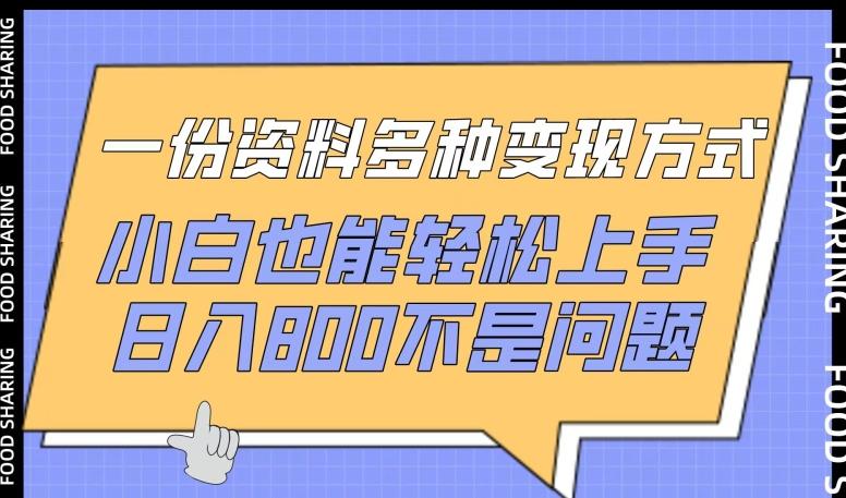 一份资料多种变现方式，小白也能轻松上手，日入800不是问题【揭秘】-灼光资源宝库