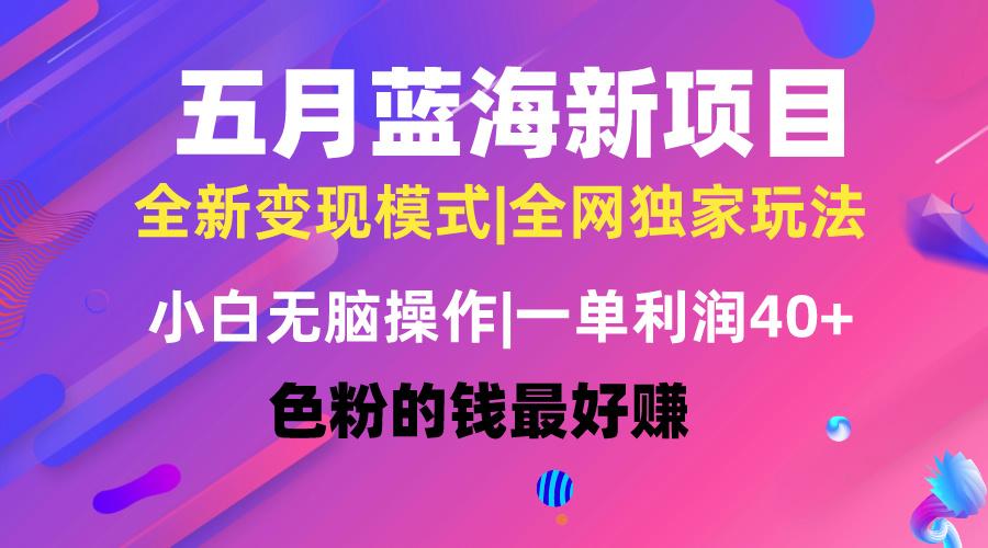 五月蓝海项目全新玩法，小白无脑操作，一天几分钟，矩阵操作，月入4万+-灼光资源宝库