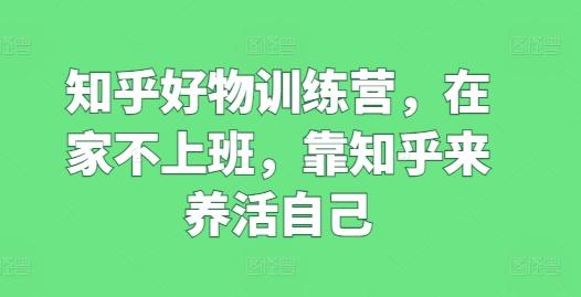 知乎好物训练营，在家不上班，靠知乎来养活自己-灼光资源宝库