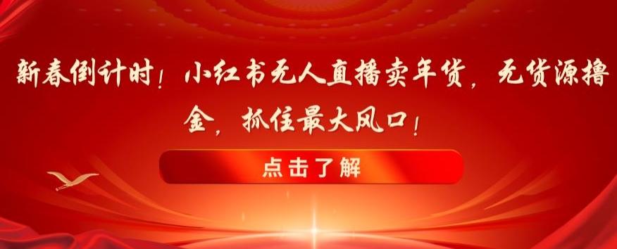 新春倒计时！小红书无人直播卖年货，无货源撸金，抓住最大风口【揭秘】-灼光资源宝库