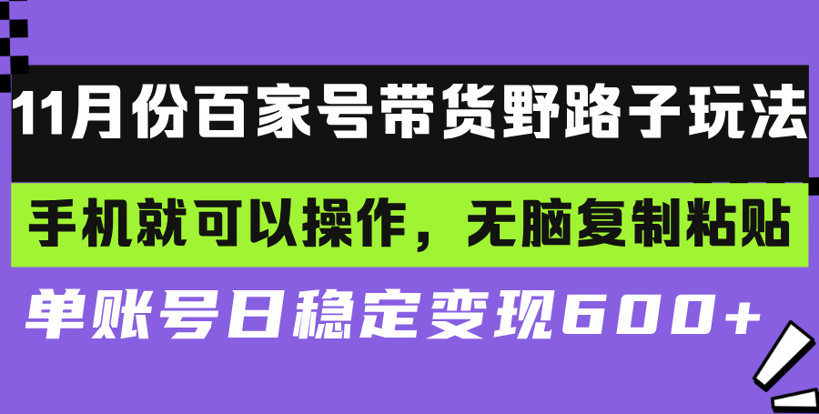 百家号带货野路子玩法 手机就可以操作，无脑复制粘贴 单账号日稳定变现...-灼光资源宝库