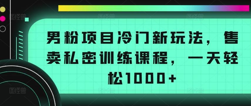 男粉项目冷门新玩法，售卖私密训练课程，一天轻松1000+【揭秘】-灼光资源宝库