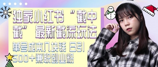 最新小红书截流玩法 独家截中截 单号成本几块钱 日引500+CY粉JZ粉-灼光资源宝库