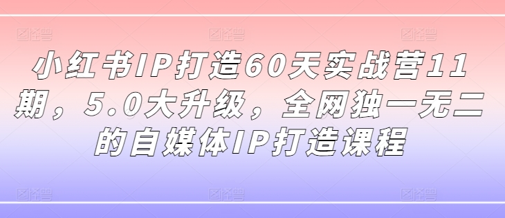 小红书IP打造60天实战营11期，5.0大升级，全网独一无二的自媒体IP打造课程-灼光资源宝库