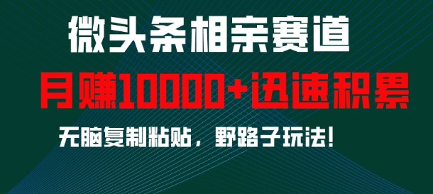 微头条相亲赛道，迅速积累，无脑复制粘贴，野路子玩法，月入1w-灼光资源宝库
