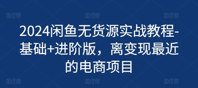 2024闲鱼无货源实战教程-基础+进阶版，离变现最近的电商项目-灼光资源宝库
