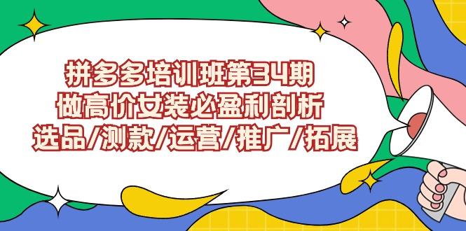(9333期)拼多多培训班第34期：做高价女装必盈利剖析  选品/测款/运营/推广/拓展-灼光资源宝库