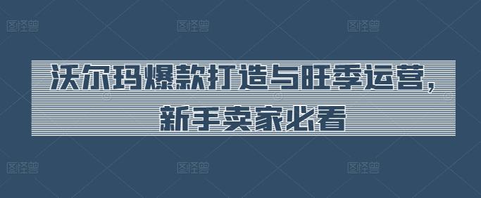 沃尔玛爆款打造与旺季运营，新手卖家必看-蘑菇资源宝库