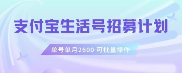 支付宝生活号作者招募计划，单号单月2600，可批量去做，工作室一人一个月轻松1w+【揭秘】-灼光资源宝库