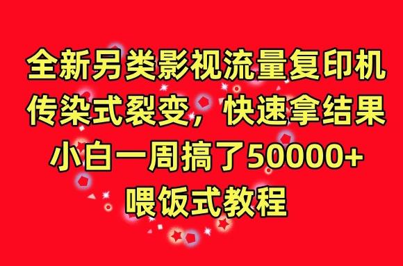 全新另类影视流量复印机，传染式裂变，快速拿结果，小白一周搞了50000+，喂饭式教程【揭秘】-灼光资源宝库