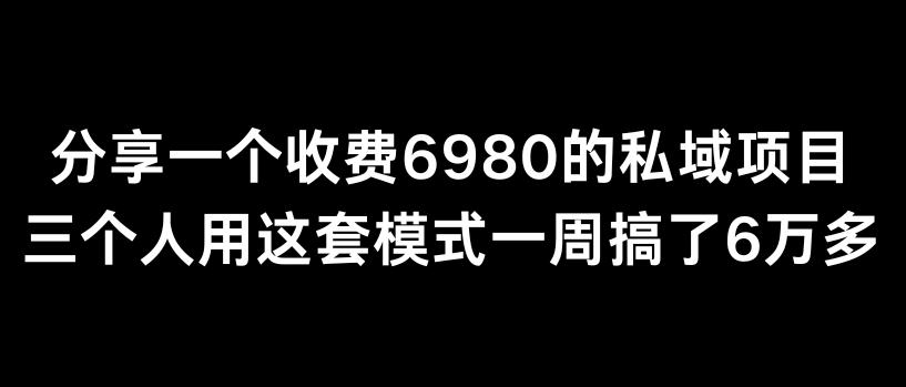 分享一个外面卖6980的私域项目三个人用这套模式一周搞了6万多【揭秘】-灼光资源宝库