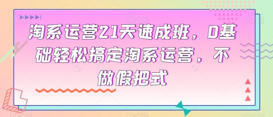淘系运营21天速成班，0基础轻松搞定淘系运营，不做假把式-灼光资源宝库