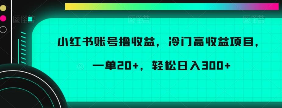 小红书账号撸收益，冷门高收益项目，一单20+，轻松日入300+【揭秘】-灼光资源宝库