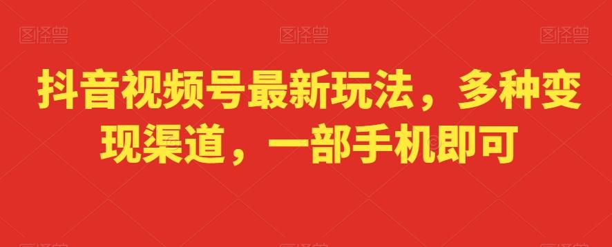 抖音视频号最新玩法，多种变现渠道，一部手机即可-灼光资源宝库