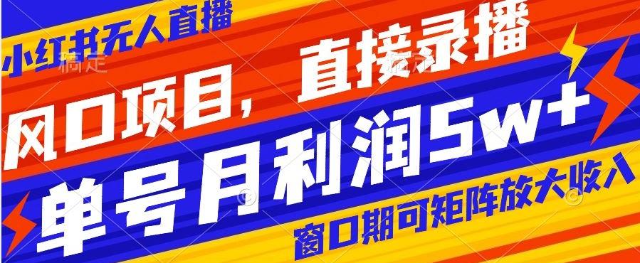 风口项目，小红书无人直播带货，直接录播，可矩阵，月入5w+【揭秘】-灼光资源宝库