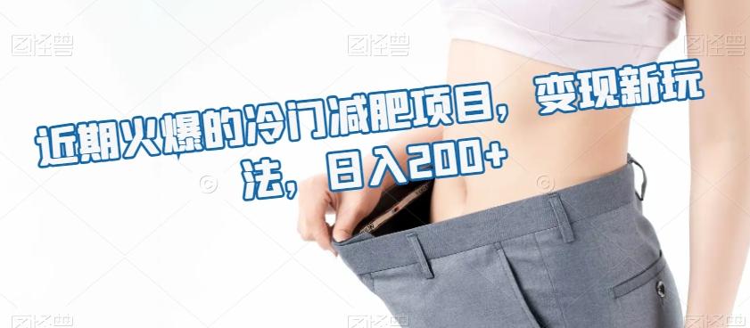 近期火爆的冷门减肥项目，变现新玩法，日入200+-灼光资源宝库