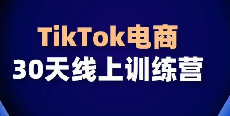 TikTok电商带货30天线上课，不可错过的全球流量洼地！-灼光资源宝库
