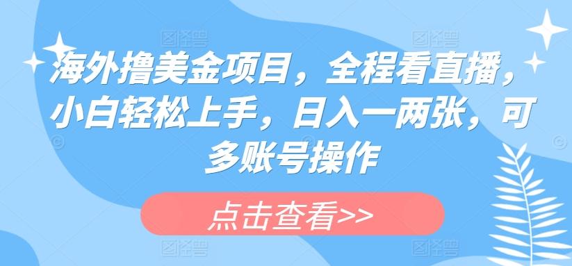 海外撸美金项目，全程看直播，小白轻松上手，日入一两张，可多账号操作【揭秘】-蘑菇资源宝库