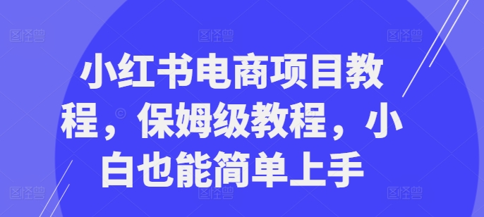 小红书电商项目教程，保姆级教程，小白也能简单上手-灼光资源宝库