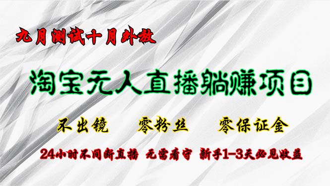 淘宝无人直播最新玩法，九月测试十月外放，不出镜零粉丝零保证金，24小...-灼光资源宝库