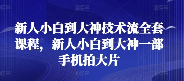 新人小白到大神技术流全套课程，新人小白到大神一部手机拍大片-蘑菇资源宝库