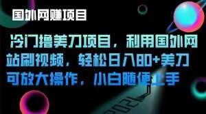 冷门撸美刀项目，利用国外网站刷视频，轻松日入80+美刀，可放大操作，小白随便上手-灼光资源宝库