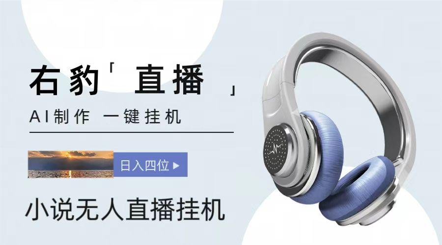 右豹小说无人直播挂机吸金项目,简单易行收益稳定, 月入1000+-灼光资源宝库