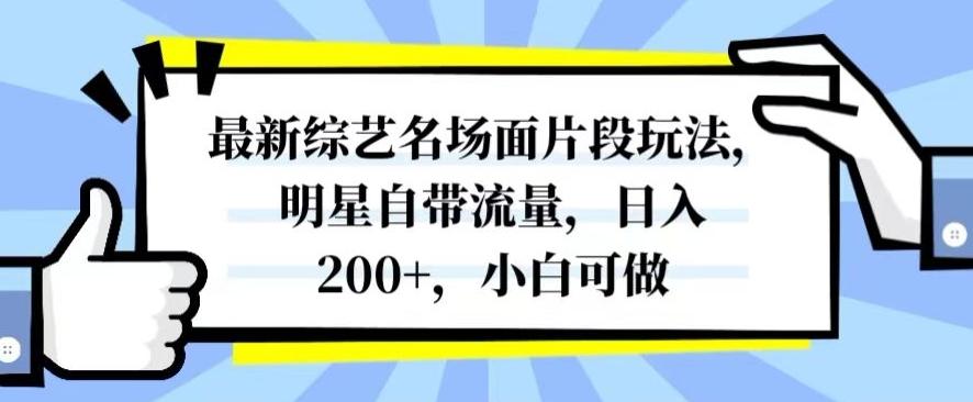 最新综艺名场面片段玩法，明星自带流量，日入200+，小白可做【揭秘】-灼光资源宝库