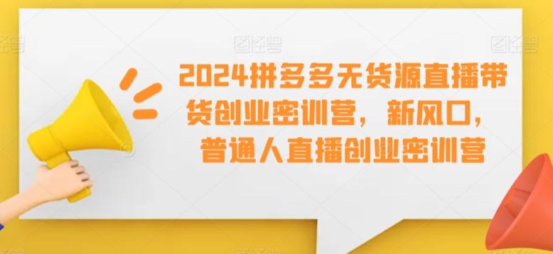 2024拼多多无货源直播带货创业密训营，新风口，普通人直播创业密训营-灼光资源宝库