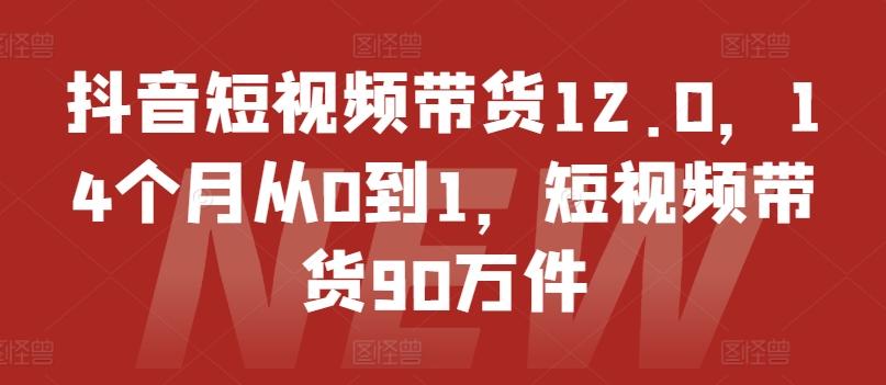 抖音短视频带货12.0，14个月从0到1，短视频带货90万件-灼光资源宝库