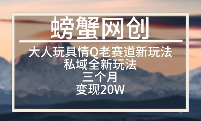 大人玩具情Q用品赛道私域全新玩法，三个月变现20W，老项目新思路【揭秘】-灼光资源宝库