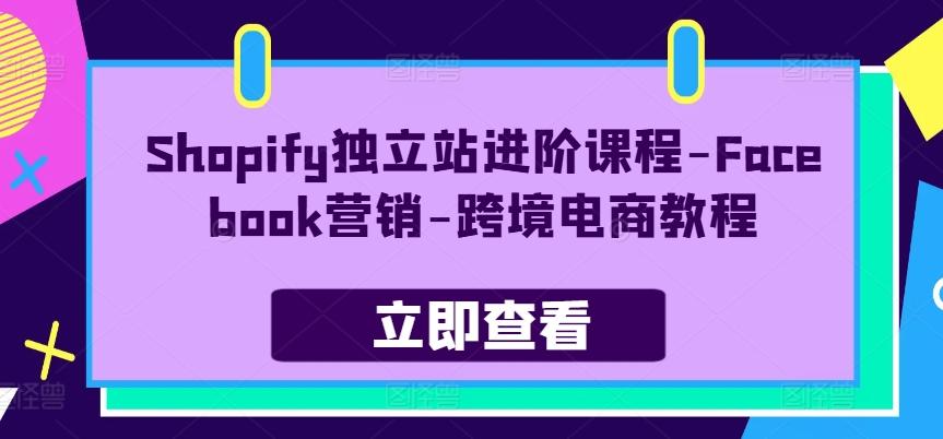 Shopify独立站进阶课程-Facebook营销-跨境电商教程-灼光资源宝库