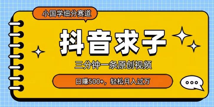 小国学细分赛道，三分钟一条原创视频，日赚500+，可矩阵复制-灼光资源宝库