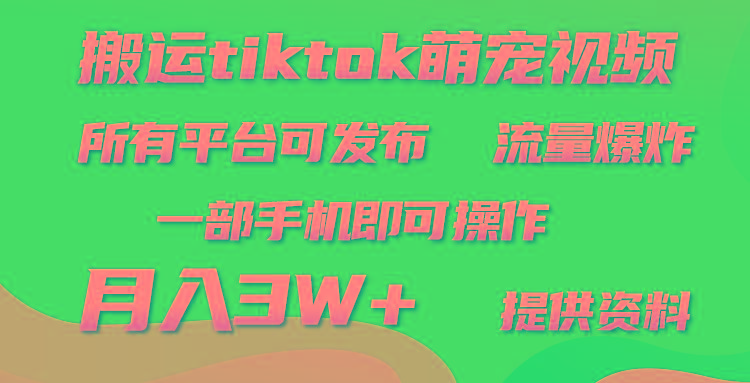 (9618期)搬运Tiktok萌宠类视频，一部手机即可。所有短视频平台均可操作，月入3W+-灼光资源宝库