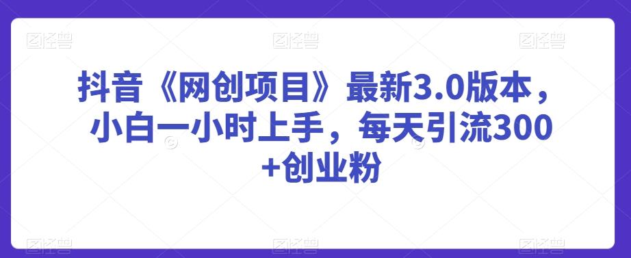 抖音《网创项目》最新3.0版本，小白一小时上手，每天引流300+创业粉【揭秘】-灼光资源宝库