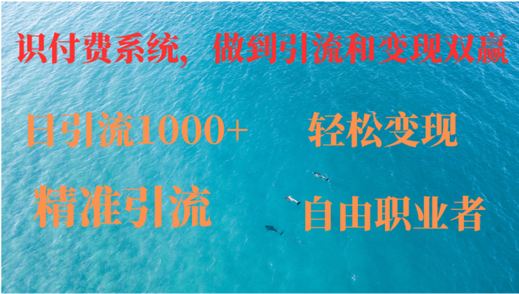 如何搭建自己的知识付费系统，做到引流和变现双赢-灼光资源宝库