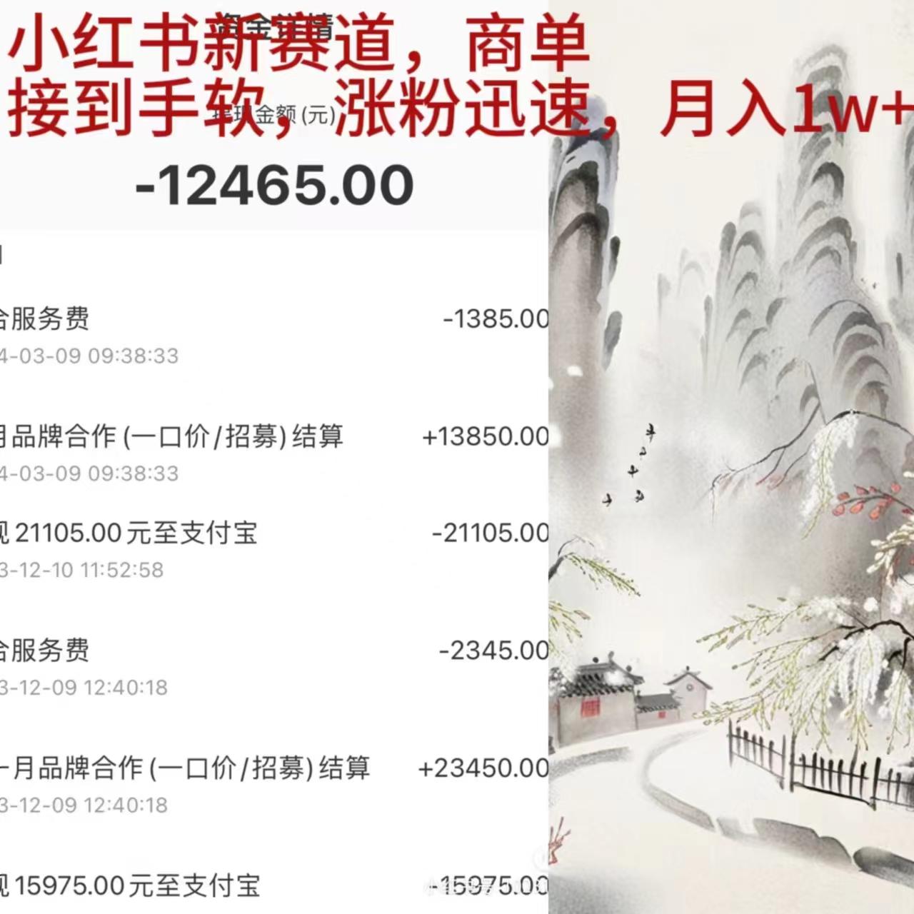 (9476期)小红书新赛道，商单接到手软，涨粉迅速，月入1w+-灼光资源宝库
