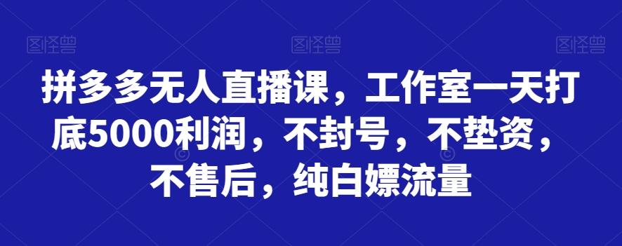 拼多多无人直播课，工作室一天打底5000利润，不封号，不垫资，不售后，纯白嫖流量-灼光资源宝库