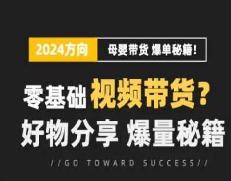 短视频母婴赛道实操流量训练营，零基础视频带货，好物分享，爆量秘籍-灼光资源宝库