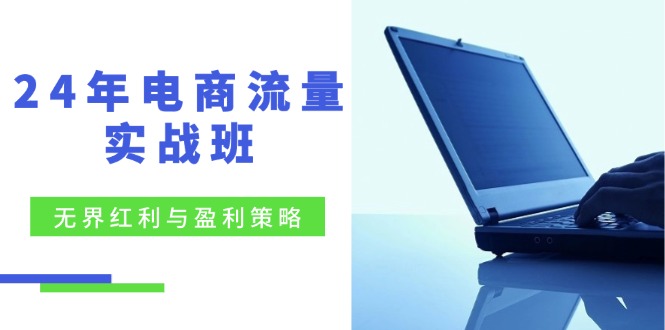 24年电商流量实战班：无界 红利与盈利策略，终极提升/关键词优化/精准…-灼光资源宝库