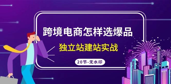 (9369期)跨境电商怎样选爆品，独立站建站实战(20节高清无水印课)-灼光资源宝库