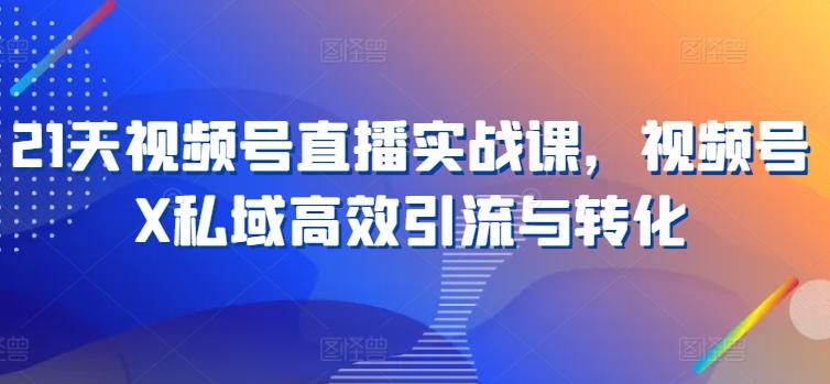 21天视频号直播实战课，视频号X私域高效引流与转化-灼光资源宝库