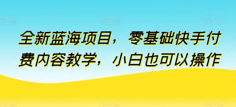 全新蓝海项目，零基础快手付费内容教学，小白也可以操作【揭秘】-灼光资源宝库