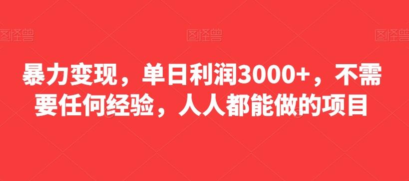 暴力变现，单日利润3000+，不需要任何经验，人人都能做的项目-灼光资源宝库