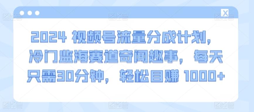 2024视频号流量分成计划，冷门监海赛道奇闻趣事，每天只需30分钟，轻松目赚 1000+【揭秘】-灼光资源宝库